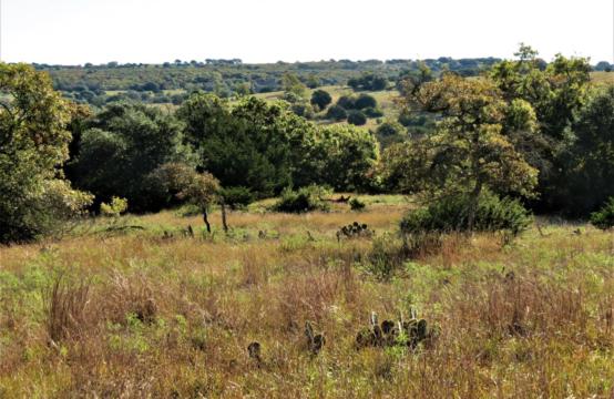 98.1 Acre Cornman Ranch, 1251 E Jung Rd, Harper, TX 78631