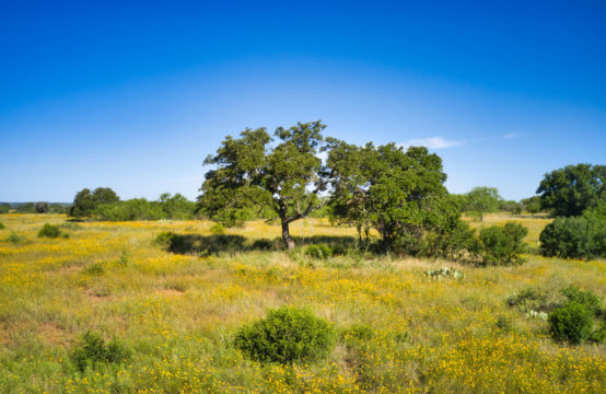 2616 Lower Willow Creek  49.5 Acres of pure Texas Hill Country!